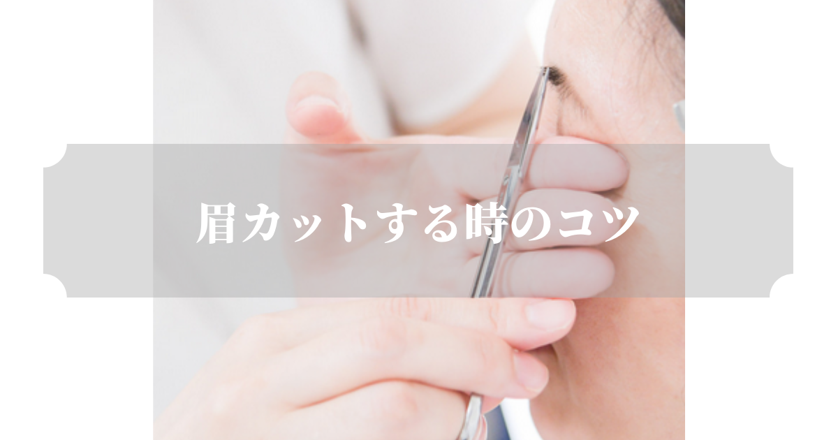 顔を美しくみせる眉カットのコツ 顔を美しくみせる眉カットのコツ